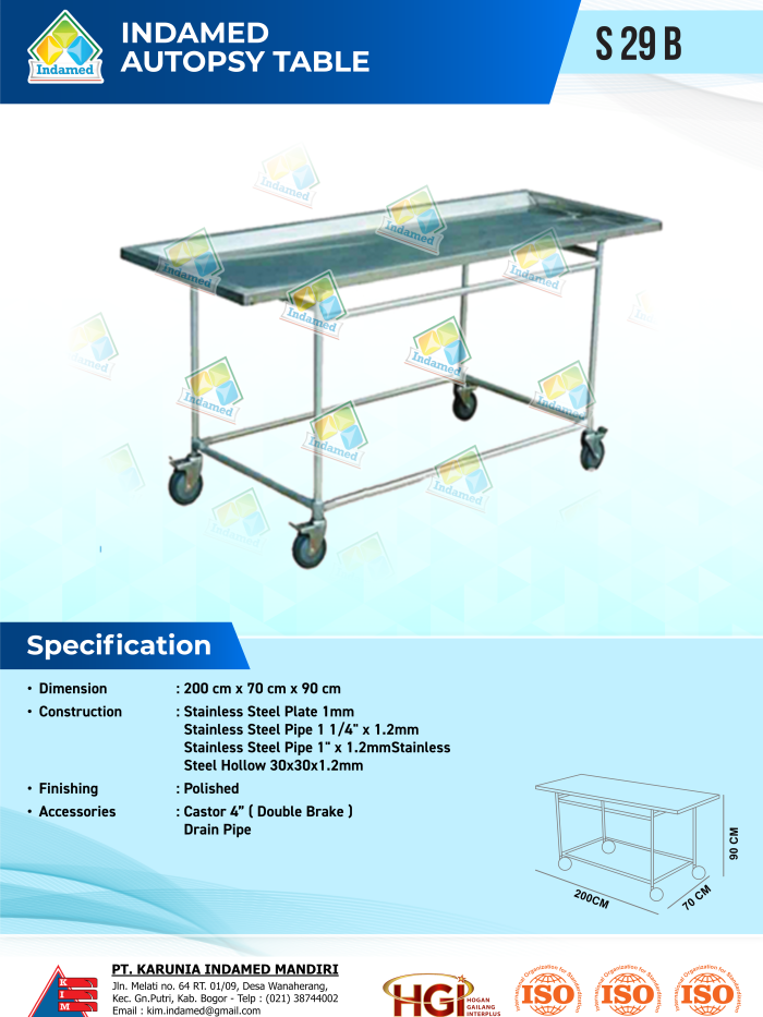 INDAMED Autopsy Table S 29 B